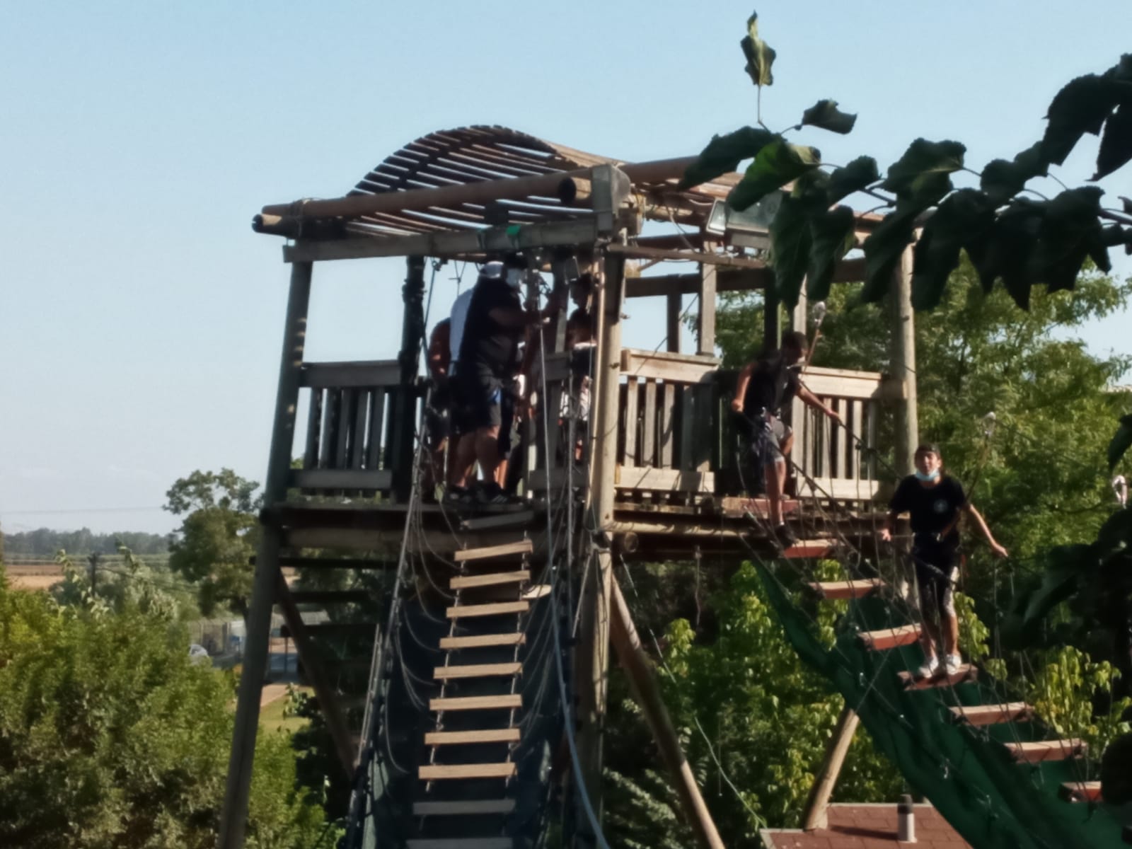 WhatsApp Image 2020-08-08 at 7.33.16 PM (1).jpeg.jpeg